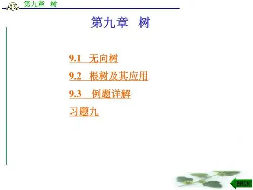 第9章 树