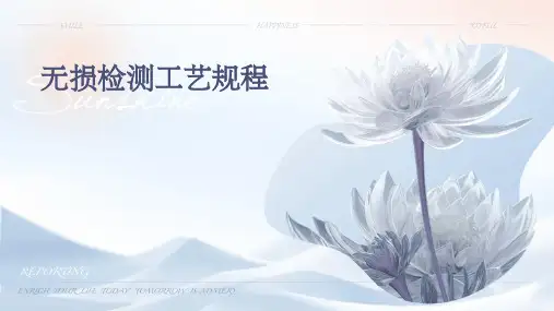 无损检测工艺规程