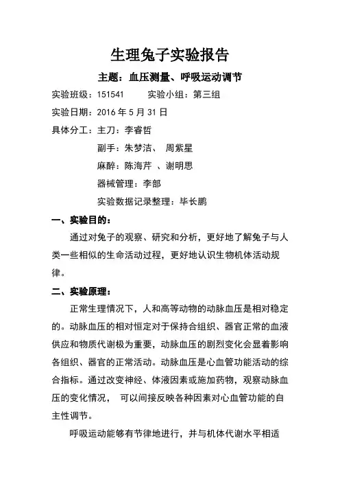 兔子实验报告