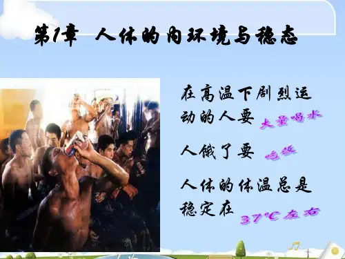 人教版生物必修三1.1-细胞生活的环境(共35张PPT)