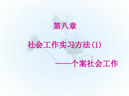 第八章 社会工作实习方法(1)个案社会工作