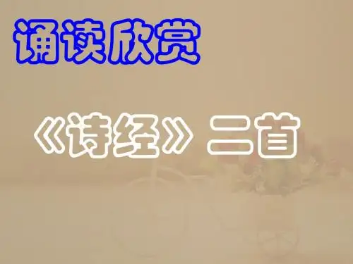 《诗经--关雎+蒹葭》ppt