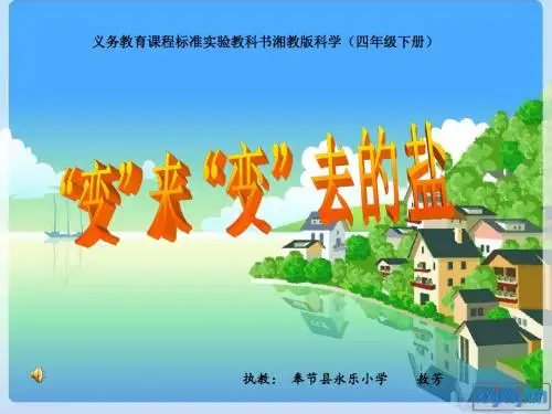 变盐课件定稿2