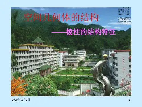 柱锥台球结构特征(1)PPT课件