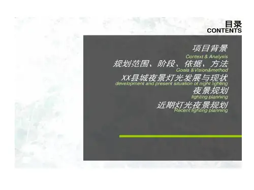 城市夜景照明的规划汇报19页PPT