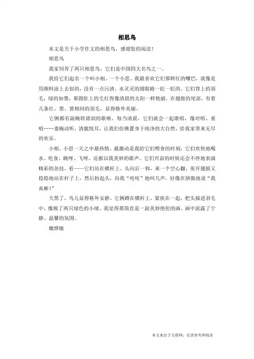 相思鸟_小学作文_1