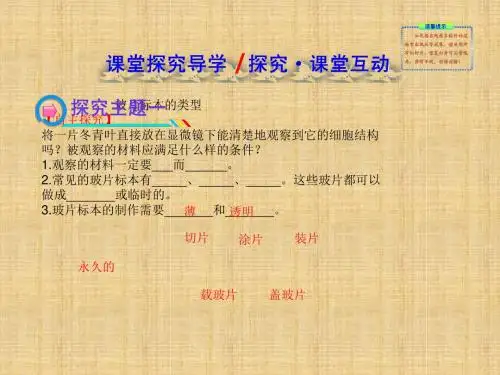 2012秋人教版七上第二节《观察植物细胞》ppt课件