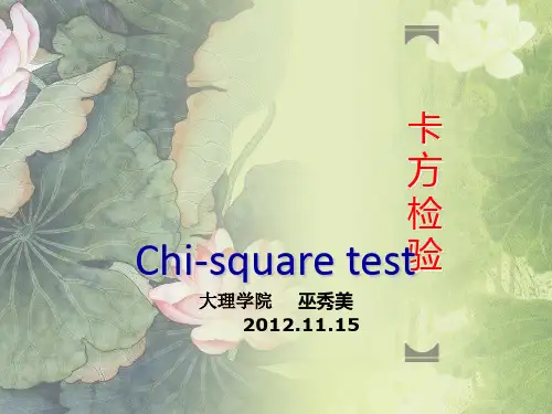 卡方检验 PPT课件