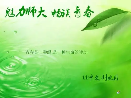 ppt畅谈青春