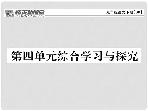 九年级语文下册 第四单元 综合学习与探究课件 (新版)