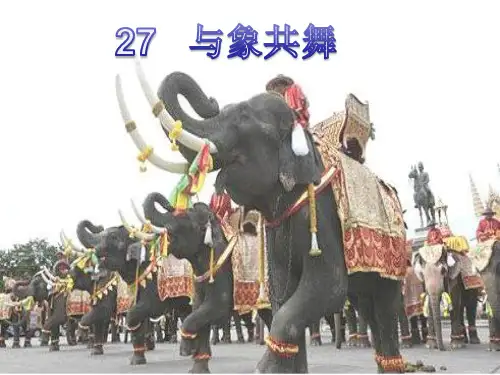 五年级下册语文课件-《与象共舞》(2)人教新课标