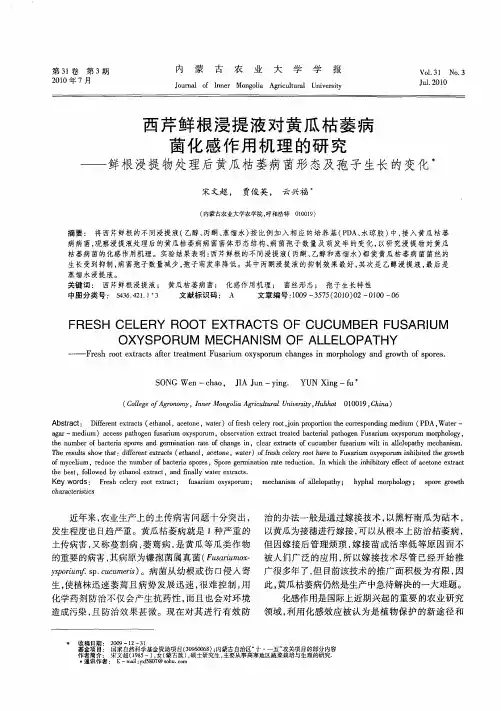 西芹鲜根浸提液对黄瓜枯萎病菌化感作用机理的研究——鲜根浸提物处理后黄瓜枯萎病菌形态及孢子生长的变
