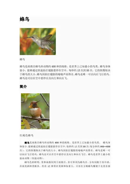 蜂鸟