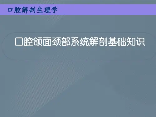口腔颌面颈部系统解剖基础知识
