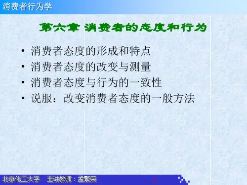 消费者行为学6-8zhang