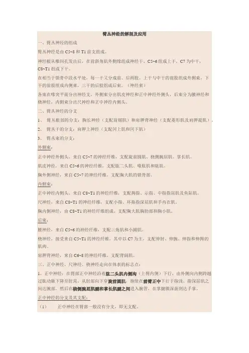 臂丛神经解剖