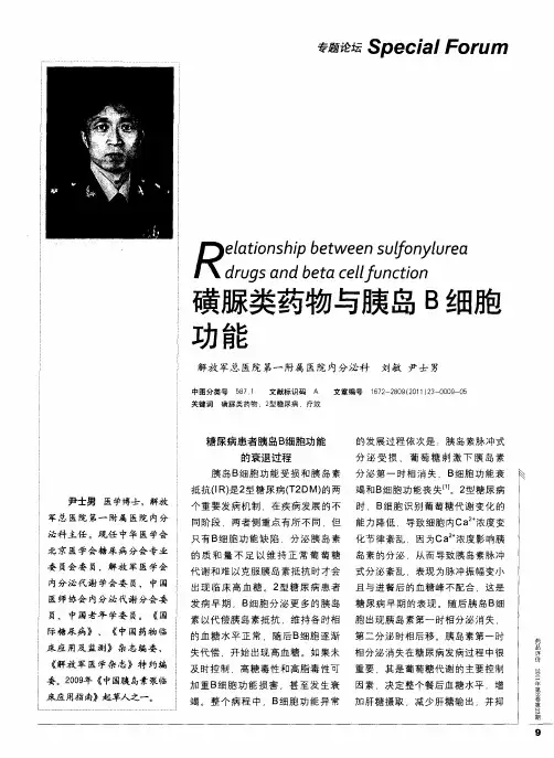磺脲类药物与胰岛B细胞功能