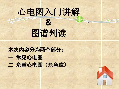 心电图入门讲解PPT课件