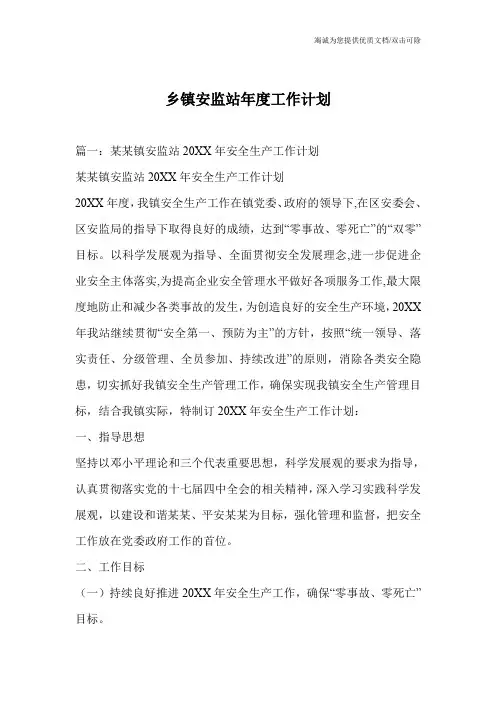 乡镇安监站年度工作计划