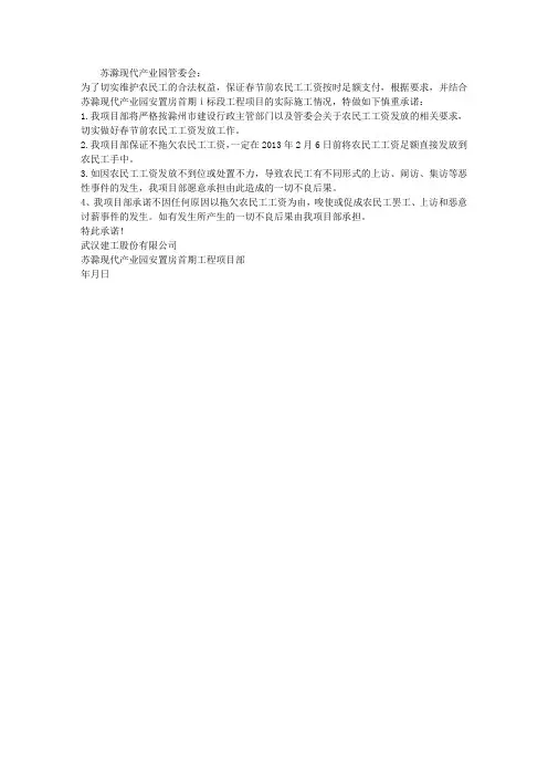 农民工工资发放承诺书 2