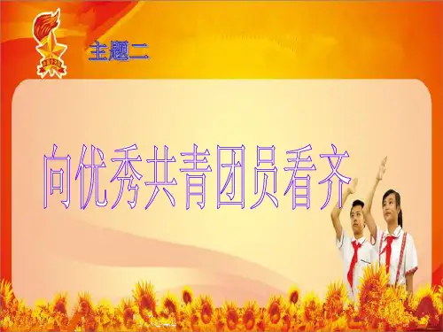 向优秀共青团员看齐ppt