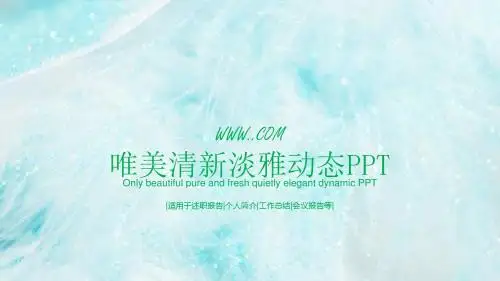 唯美清新淡雅工作总结模板【可编辑精美ppt模板】