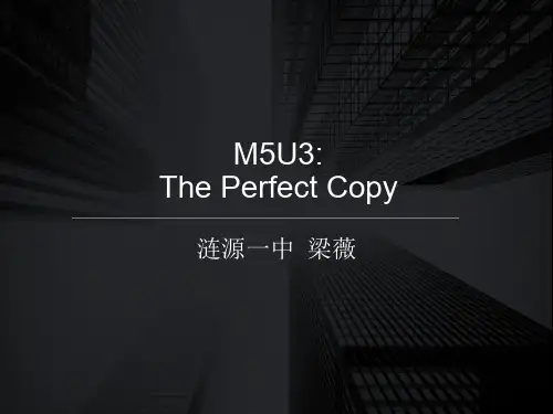 Reading(1)：Theperfectcopy