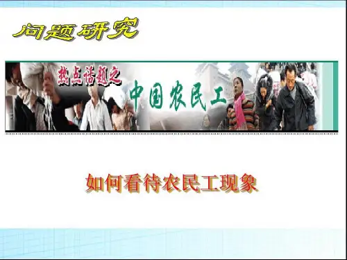 问题研究:如何看待农民工现象共36页文档