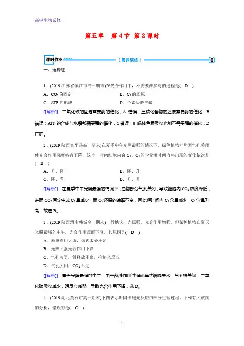 生物人教版必修一练习：第5章+第4节+能量之源——光与光合作用+第2课时+课时+Word版含解析