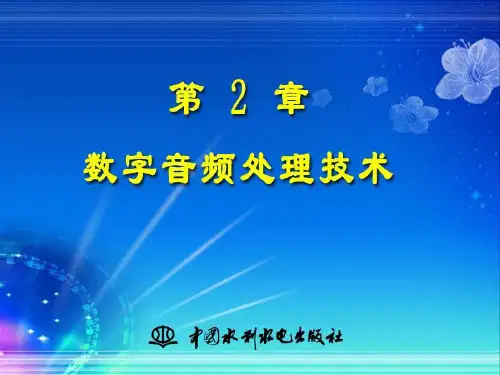 数字音频处理技术