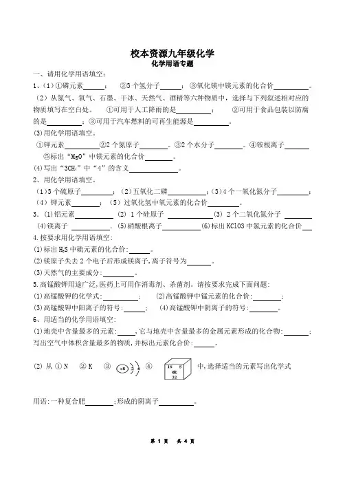化学用语中考化学复习专题训练