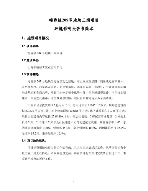 【VIP专享】梅陇镇209号地块三期项目