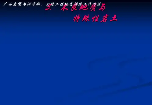 T公路工程地质调绘工作方法5不良地质与特殊性岩土.
