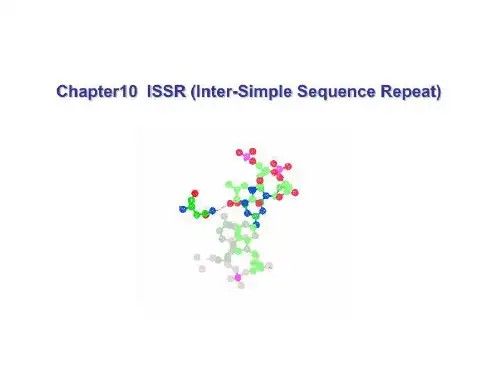 分子标记技术及其应用 issr(ppt 22页)