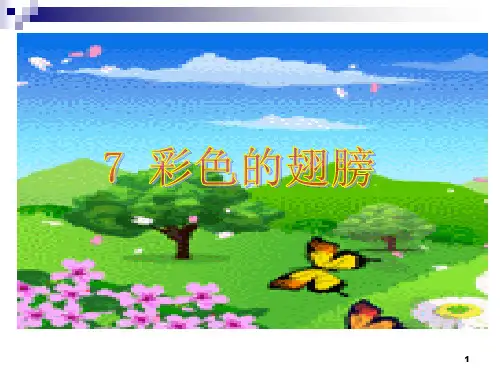 7彩色的翅膀精品PPT课件