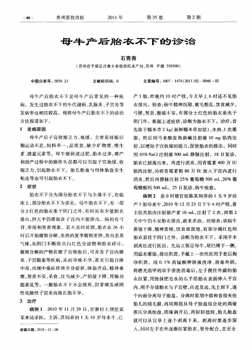 母牛产后胎衣不下的诊治