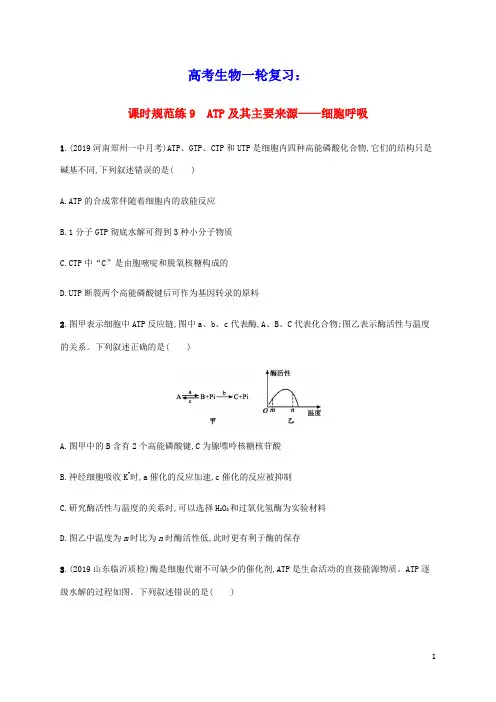 2021版高考生物一轮复习课时规范练9ATP及其主要来源__细胞呼吸含解析新人教版