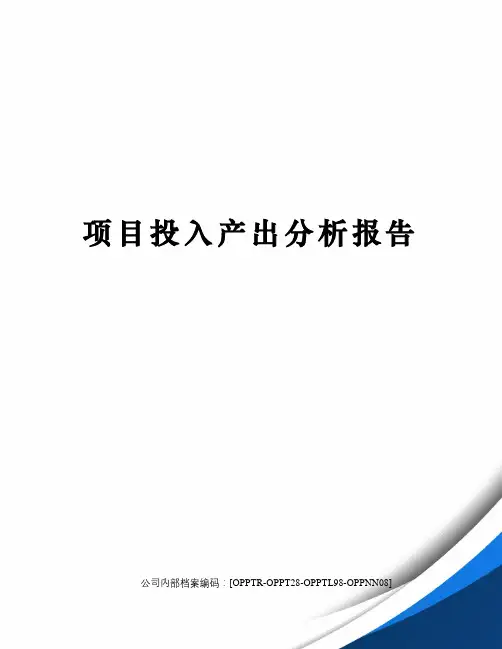 项目投入产出分析报告