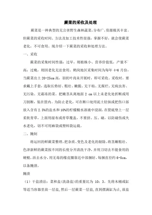 蕨菜采收及处理