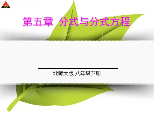 分式与分式方程-单元复习