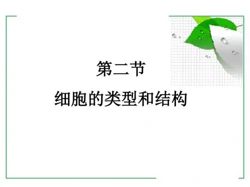 6真核细胞和原核细胞wl