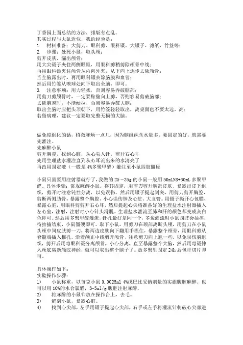取小鼠脑组织