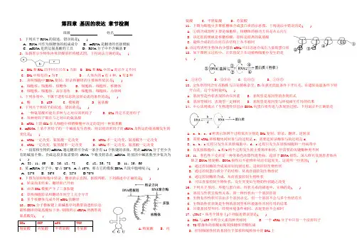 高中生物必修二第四章基因的表达章节测试