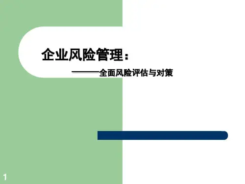 企业风险管理--全面风险评估与对策