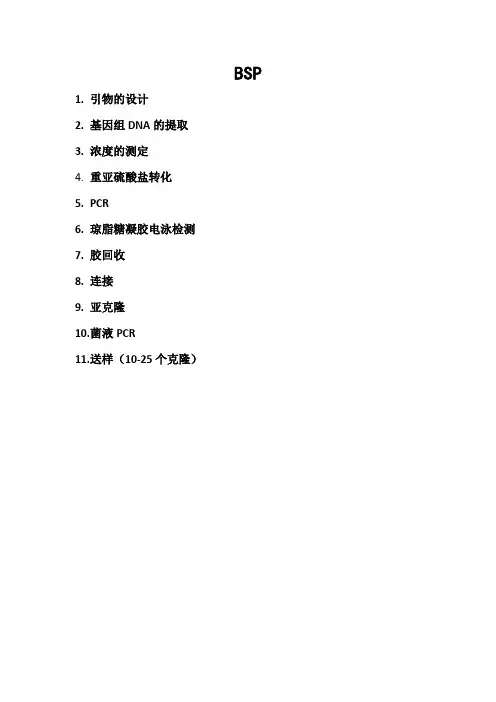 甲基化实验大概步骤