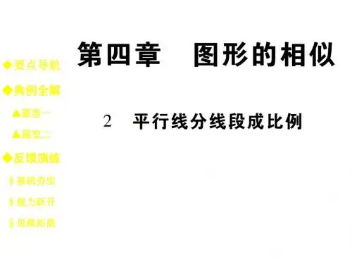 九年级数学上册(北师大版)教学课件：4.2