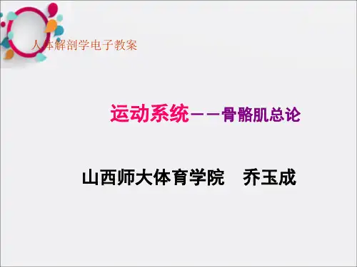 《运动系统总论》PPT课件