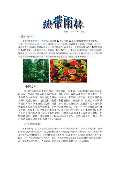 热带雨林