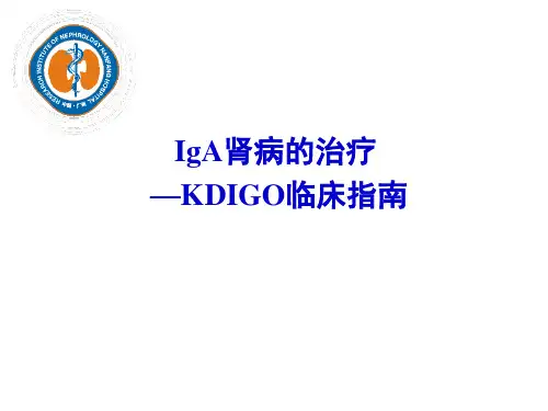 KDIGO临床指南-IgA肾病的治疗