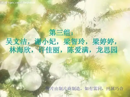 旅游政策法规